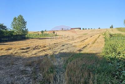 Teren intravilan, 7500 mp in Moara Carp / Strada Eternita... - 11