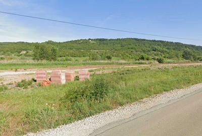 Spațiu comercial, în Fughiu - 3