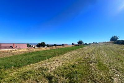 Teren intravilan - 1500 mp, Luizi-Calugara - 2