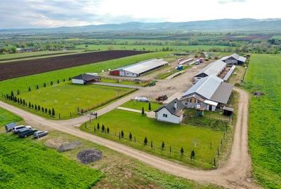 Film&Tur! Domeniu pe 222.000mp+ Ferma +Anexe specifice+Constructie+
rezidential - 49