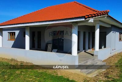 Casă cu 4 camere cu Teren 718 Mp în Lăpuș - 1