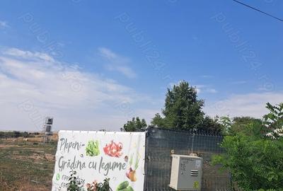 Teren de 4000 mp, în Plopeni - 2