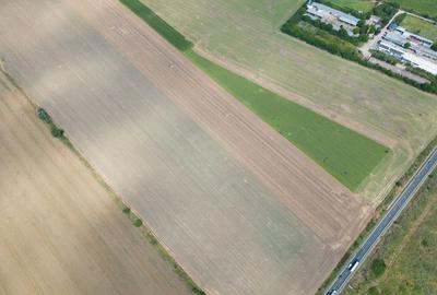 Teren extravilan 12.000 mp DN79 Arad-Oradea - 6