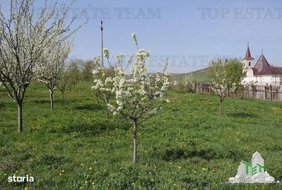 Spațiu comercial, în Loamneș - 3