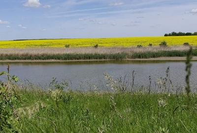 Loturi Teren Intravilan, Vedere la Lac - Frumusani - 4