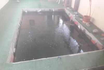 Casă cu 4 camere cu Teren 2000 Mp în Chilișeni - 6