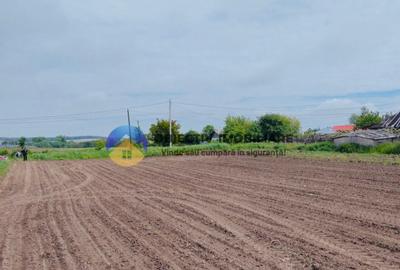 Teren- Com. Stefan cel Mare- jud. Neamt - 10