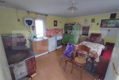 Casă cu 4 camere cu Teren 2500 Mp în Putna - 1