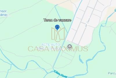 Teren Construcții intravilan de 16800 mp, în Turnișor - 1