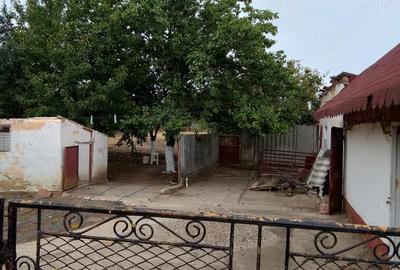 Casă în Iecea Mare - 2