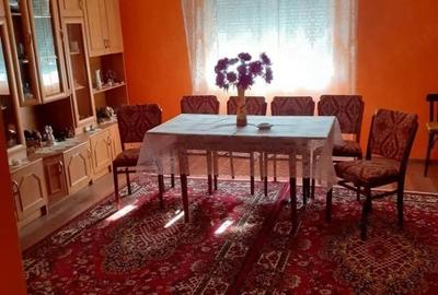 Casă cu 9 camere cu Teren 2200 Mp în Vasile Goldiș - 3