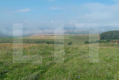 Teren de 1000 mp, în Sălicea