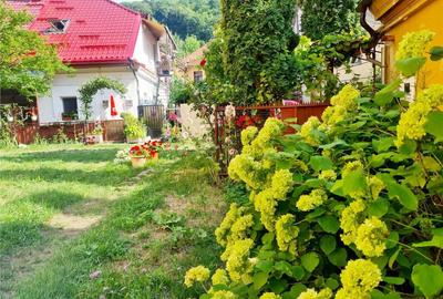 3D! Locatie decomandata,in zona centrala cu gradina:rezident