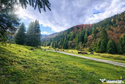 Teren în Zărnești - 3