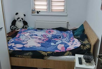 Apartament cu 3 camere decomandat în Vitrometan - 6