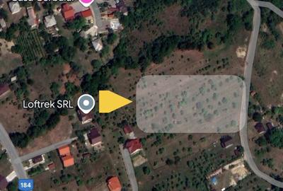 Spațiu comercial, în Baia Sprie - 14