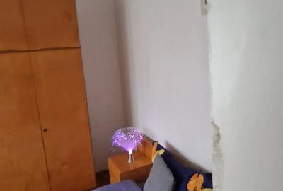 Apartament cu 3 camere decomandat în Precista - 11