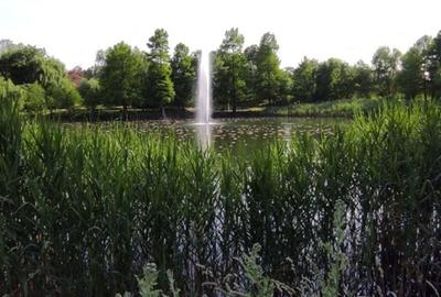 Apartament cu 2 camere în Lacul Tei - 4