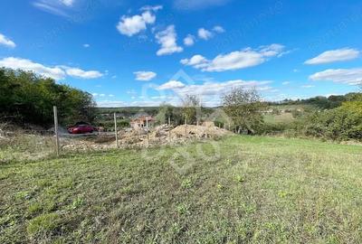 Teren intravilan 5995 mp de vanzare in Hidiselu de Sus - 4