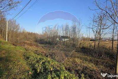 Teren de 10860 mp, în Frătăuții Noi - 14