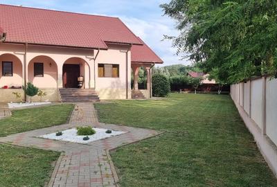 Casa noua la Hudum - 12