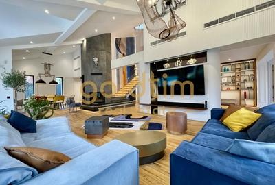 UNICA/ABSOLUT SUPERBA/ VILA INDIVIDUALA/IANCU NICOLAE/CURTE GENEROASA - 2