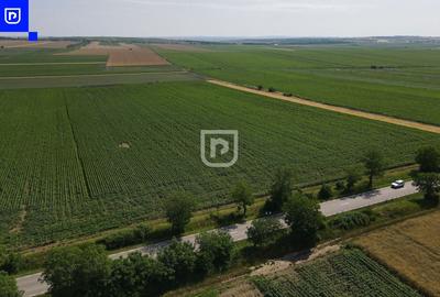 Teren agricol extravilan de 10000 mp, în Orășeni-Deal - 7