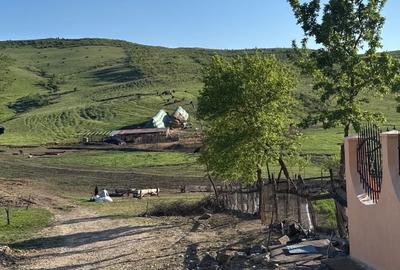 Casă cu 4 camere în Boian