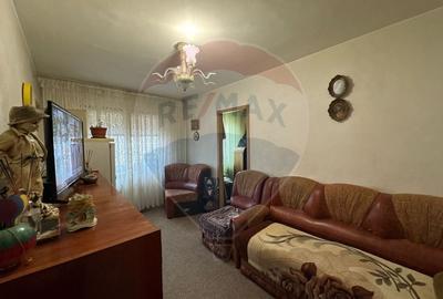 Apartament cu 2 camere semidecomandat în Valea Rosie - 3