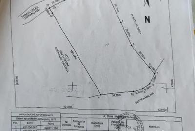 Teren de 6915 mp, în Malaia - 1