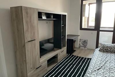 Garsonieră decomandată, mobilată în Podu Roș - 3