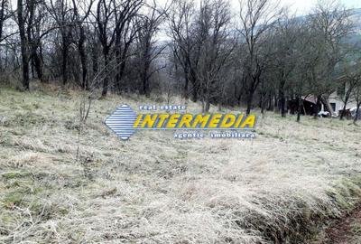 Spațiu comercial, în Pâclișa - 3