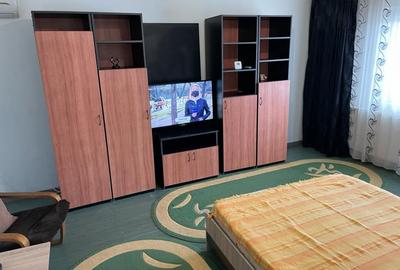 Garsonieră decomandată, mobilată în Inel II - 12