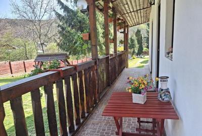 CASA DE VACANTA - UN MIC COLT DE RAI , STEFANESTI, ARGES CASA DE VACANTA - UN MIC COLT DE RAI , STEFANESTI, ARGES - 5