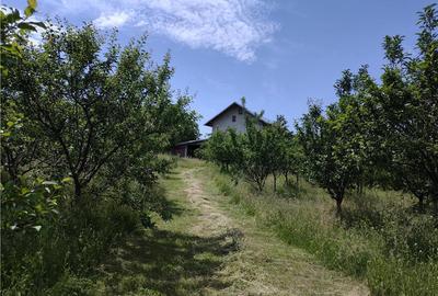 Casă cu 7 camere cu Teren 4000 Mp în Podenii Vechi - 10