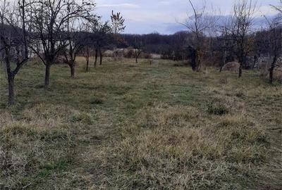 Casă în Frătești - 4