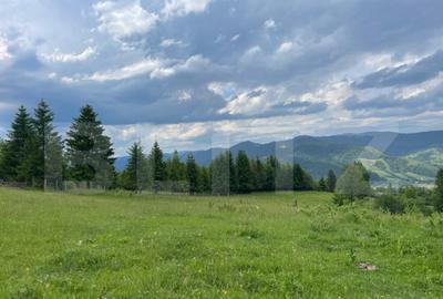 Teren de vanzare, 2 ha - Campulung Moldovenesc, zona Sandru - 6