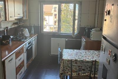 Izvorul Rece Drumul Gazarului 4 camere - 9