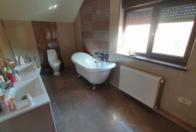 Vila generoasa in zona foarte linistita Vila generoasa in zona foarte linistita - 14