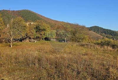 Teren Construcții intravilan de 6874 mp, în Alexandru cel Bun - 13