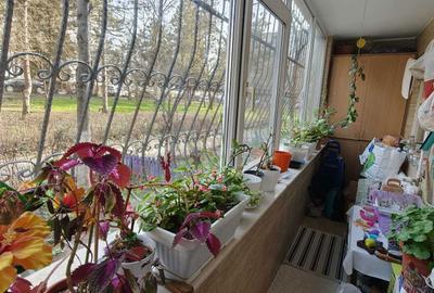 Apartament cu 3 camere decomandat în Tomis Nord - 7