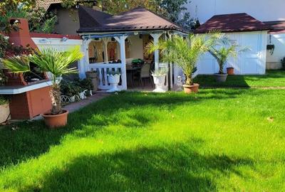 VILA DEOSEBITA EROU IANCU NICOLAE/TEREN 1000 MP-CAMBRIDGE SCHOOL - 6