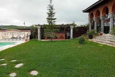 De vanzare vila exceptionala in stil Neo Romanesc cu vedere la lac si padure - 4