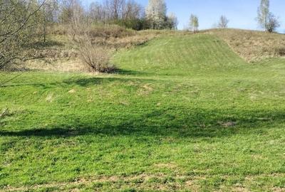 Spațiu comercial, în Șinca - 8