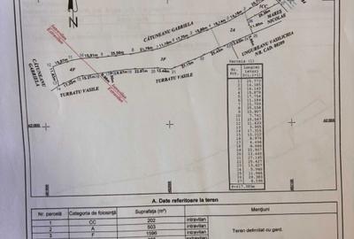 Spațiu comercial, în Bradu - 7