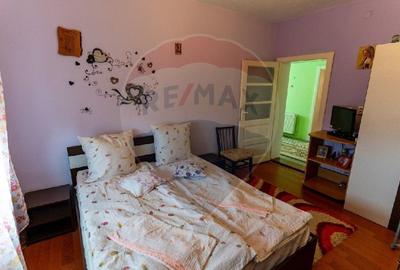 Casa / Vila de vanzare in Cristur jud.Hunedoara - 7