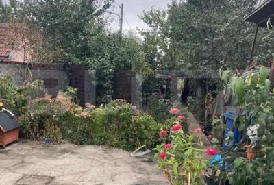 Casă cu 5 camere cu Teren 790 Mp în Bariera Vâlcii - 4
