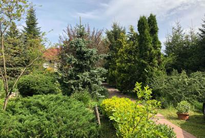 Casă cu 3 camere semidecomandat în Exterior Vest - 4