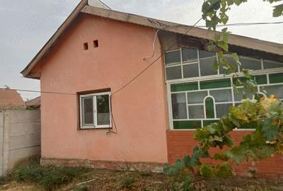 Casă cu 4 camere în Ostroveni - 1
