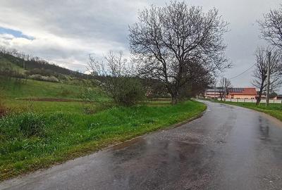Teren de 5272 mp, în General Berthelot - 2